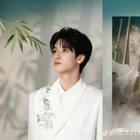 Nghiêm Hạo Tường