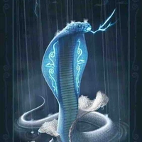 Akira ( pet nữ 9)