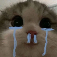 𝐊𝐫𝐢𝐬 🌸