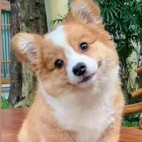 Hệ thống cutiii