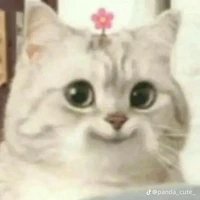 thúi ( tác giả)