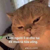 T/g nì hè hè 
