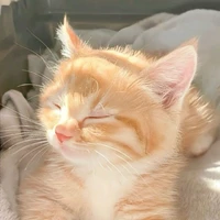 Meow