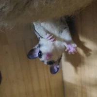? ? ?