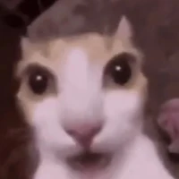 evil cat