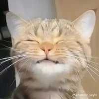 all