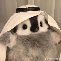 T/g Penguin