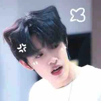Trương Cực_Em