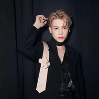 Phạm Đình Thái Ngân (Ba Ngân của Gem)