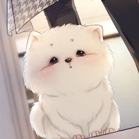 Boo