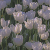 all