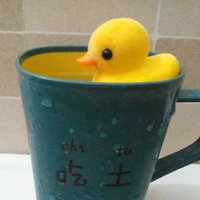 T/g mee hieuan