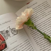 Bộ Allisa huyền thoại 