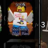 Shedletsky 