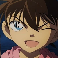 Edogawa Conan ( Shinichi )