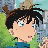 Kudo Shinichi ( Conan )