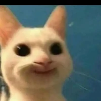 hệ thống 03 ( saka )