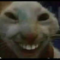 tất cả nhân vật ( trừ a cần trừ )