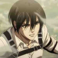 Mikasa 