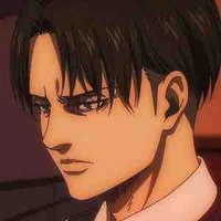 Levi