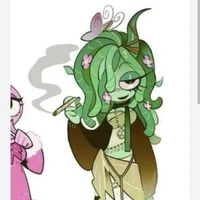 vineria(con hay rớt tóc)