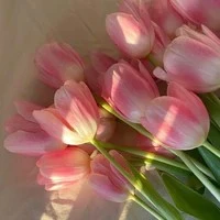 all- tùy tình huống