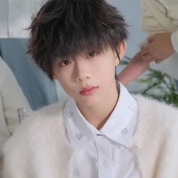 Trần Dịch Hằng (em)