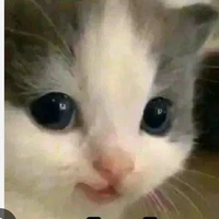 all