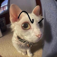 ᴋᴏɴ ᴍᴏ̂̀ᴍ ʟᴇ̀ᴏ_(T/G)