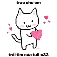 All_(có mặt ở đó😼)