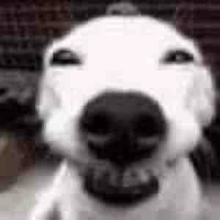 All