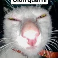 Đám HS