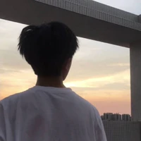 Thế Vỹ