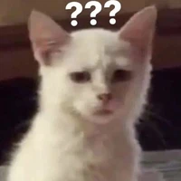 ???
