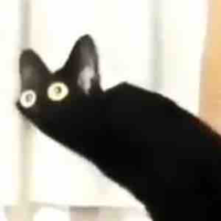 T007