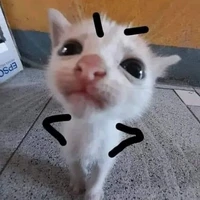Tác giả 🐒