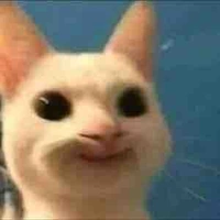 Học sinh khác🤡