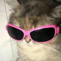 Tác giả siu đẹp gái 🤡