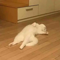 Cả hai