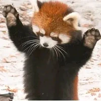 All STT ( trừ ai thì trừ)