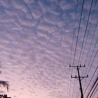 con tác giả qạc