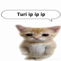 Con tác giả