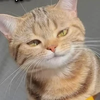 Suiren