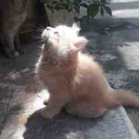 Hệ thống