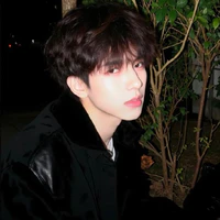 Bảo Nam