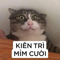TG