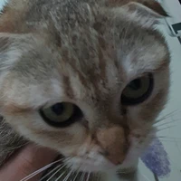 ^^