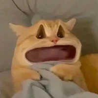 Tác giả đâyyyyy