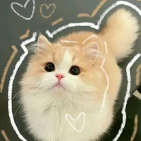 gia tộc Bách Việt