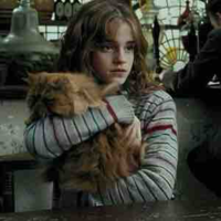 Hermionie Granger